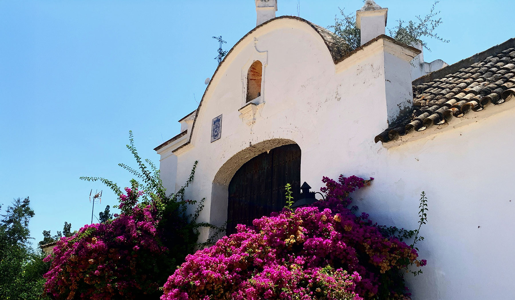 Arquitectura mediterránea con buganvillas y flores intensas.