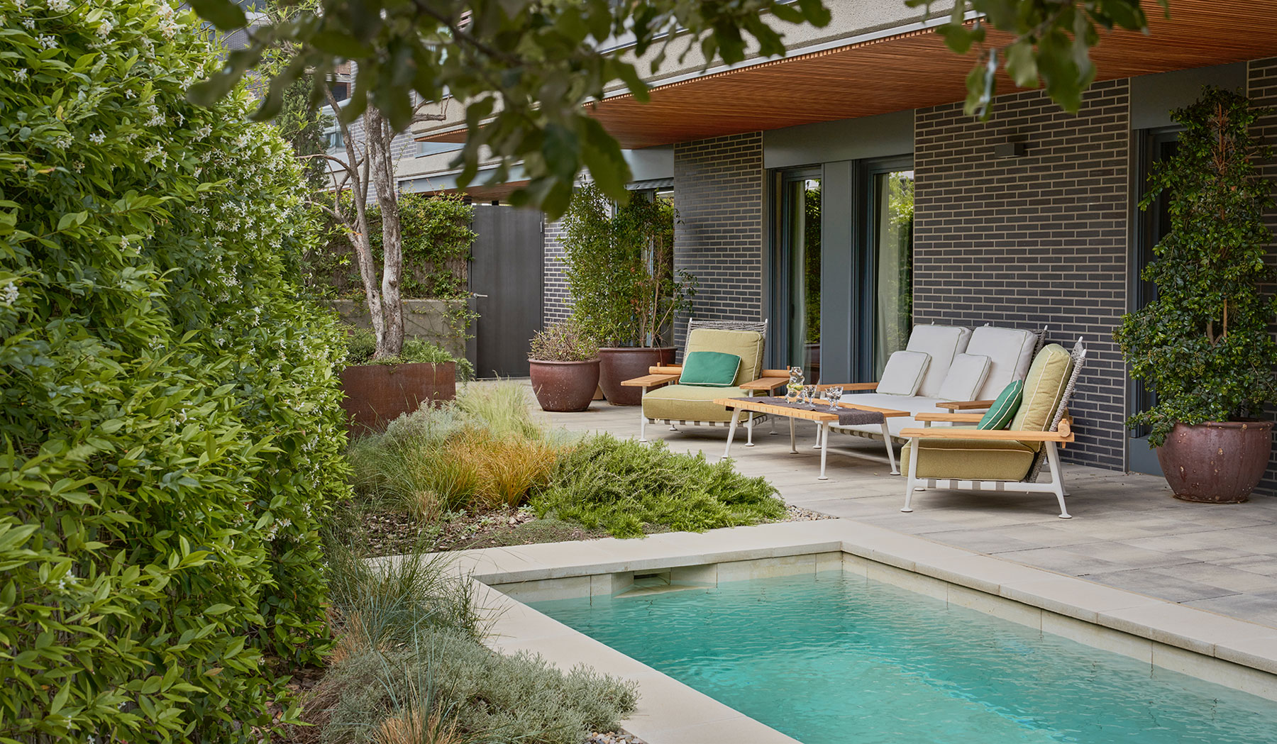 Piscina minimalista rodeada de plantas aromáticas y arbustos.