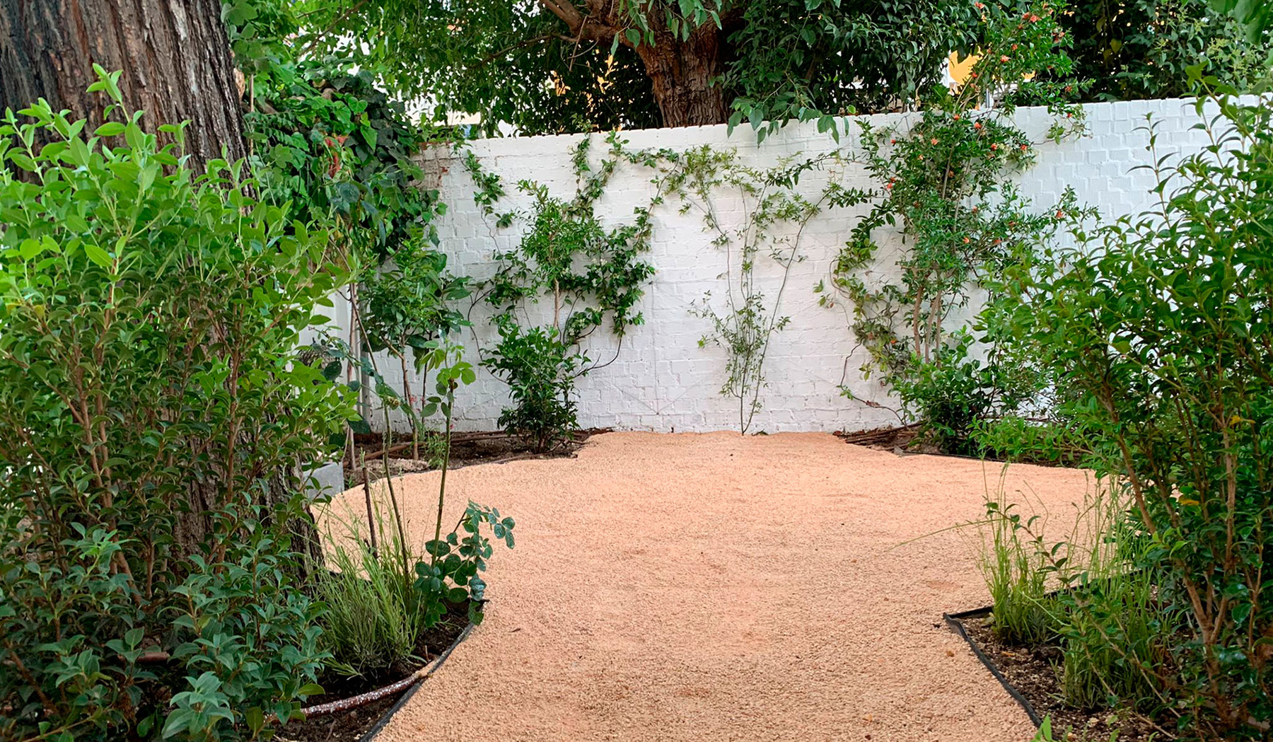 Rincón de jardín con gravilla y plantas de bajo mantenimiento.