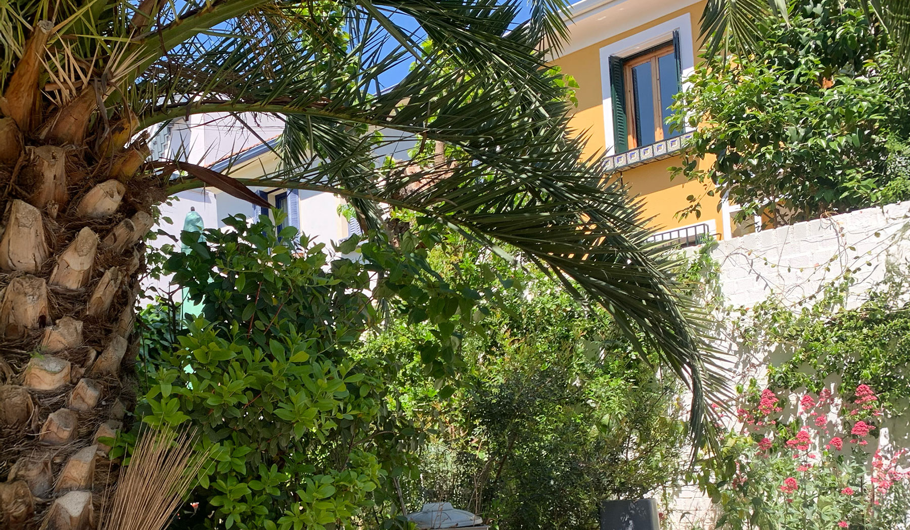 Vista de jardín frondoso con árboles autóctonos en Madrid.