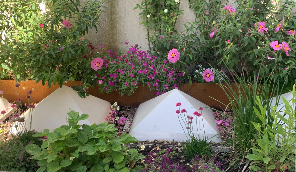 Buganvillas rosadas en macetas de diseño contemporáneo.