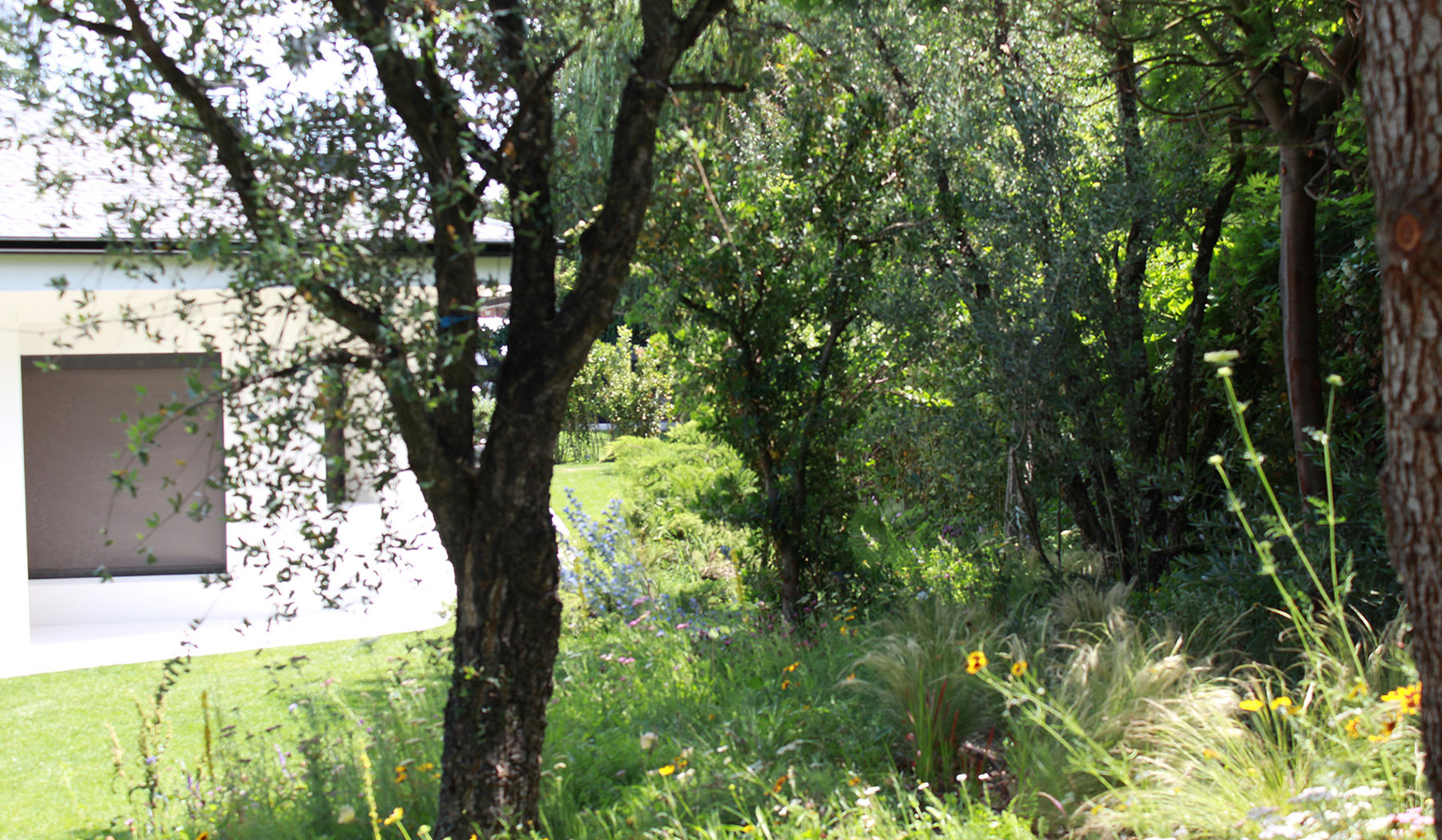 Sendero boscoso en finca con paisajismo respetuoso.