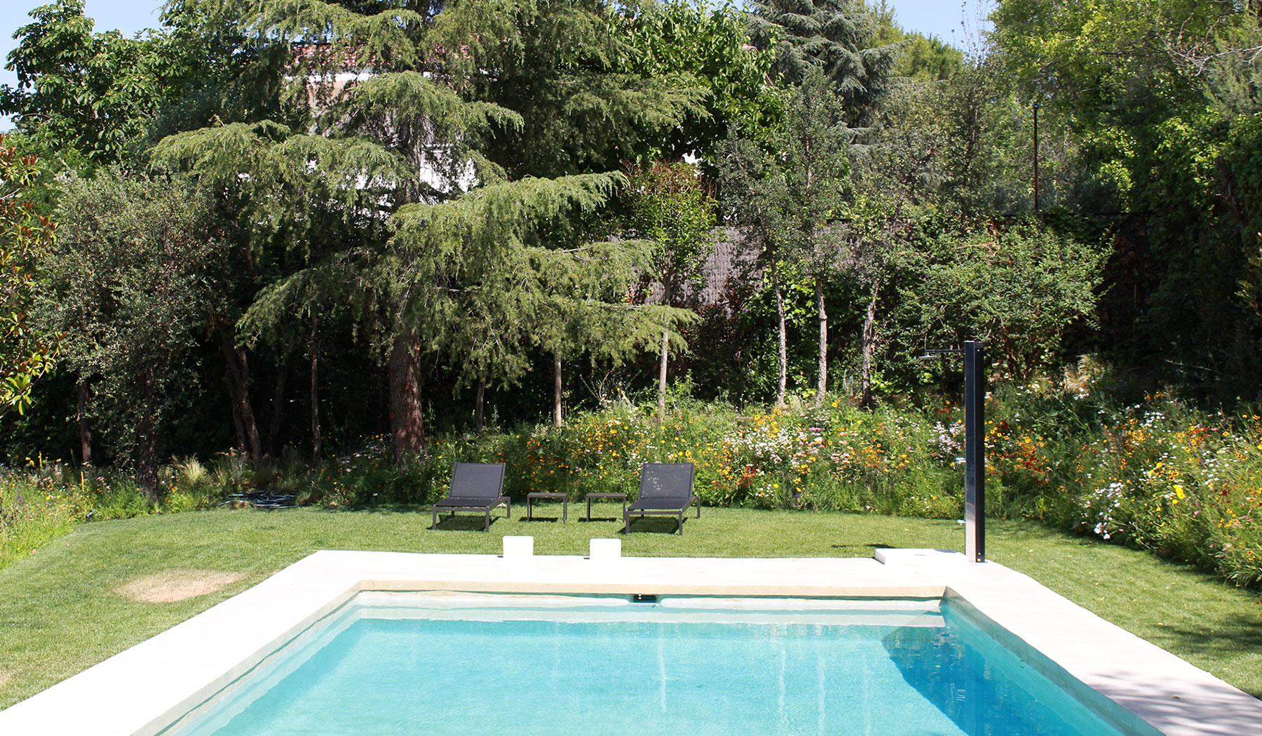 Piscina rectangular enmarcada por árboles de gran porte.