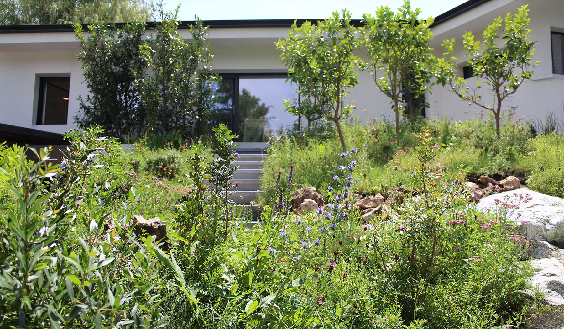 Fachada de vivienda integrada en entorno vegetal exuberante.