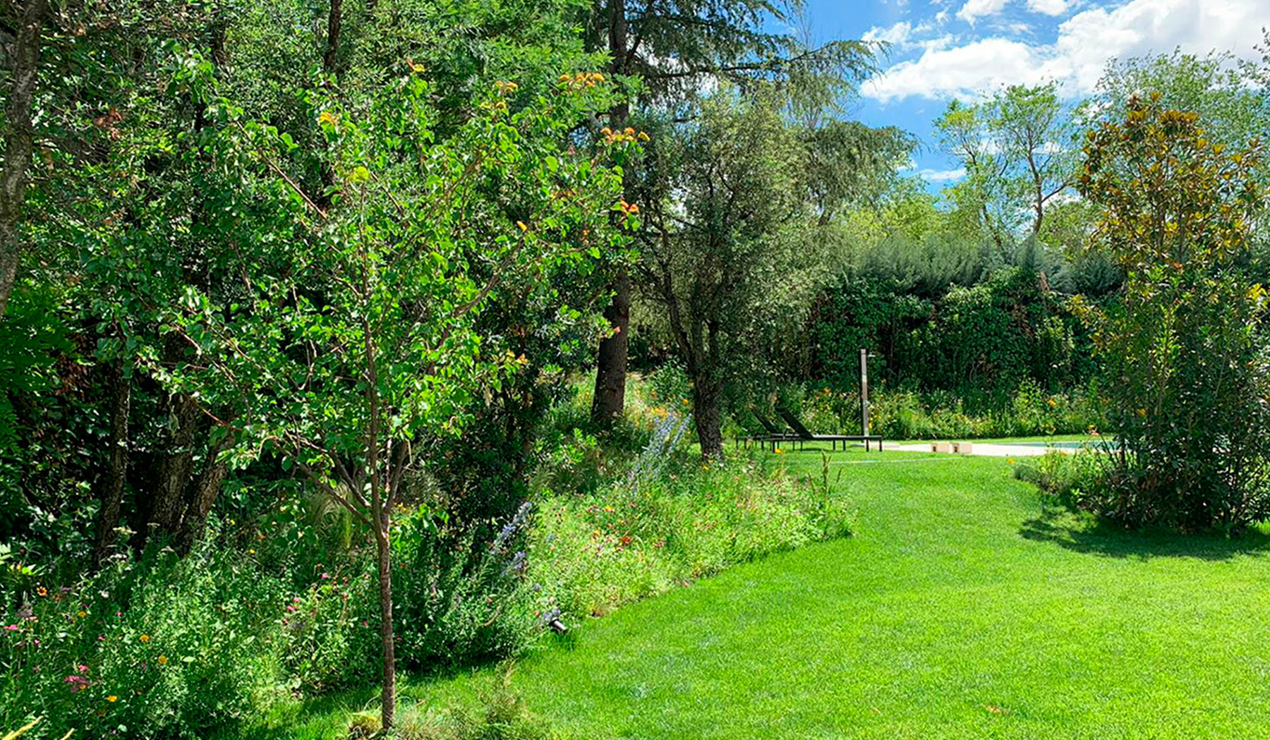 Sendero de césped entre macizos de plantas perennes.
