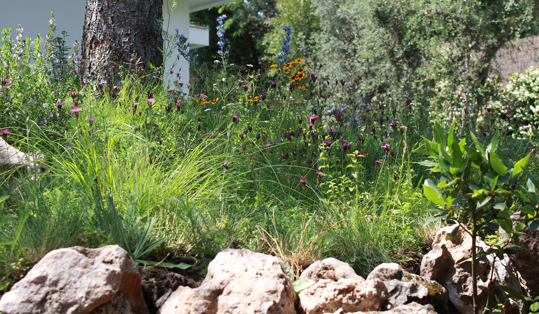 Detalle de plantas de sombra y helechos en rincón húmedo.
