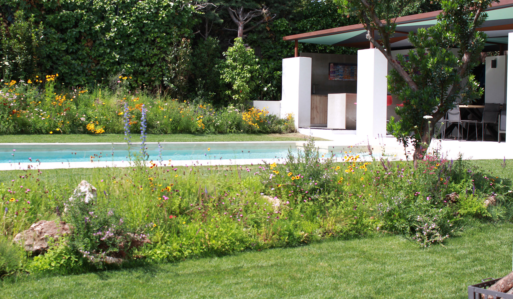 Piscina con borde infinito y vegetación de fondo en La Moraleja.